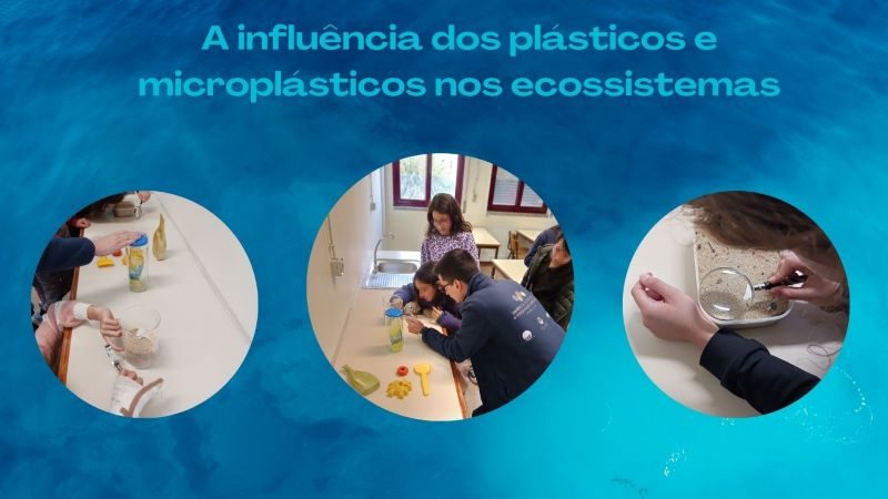 A influência dos plásticos e microplásticos nos ecossistemas